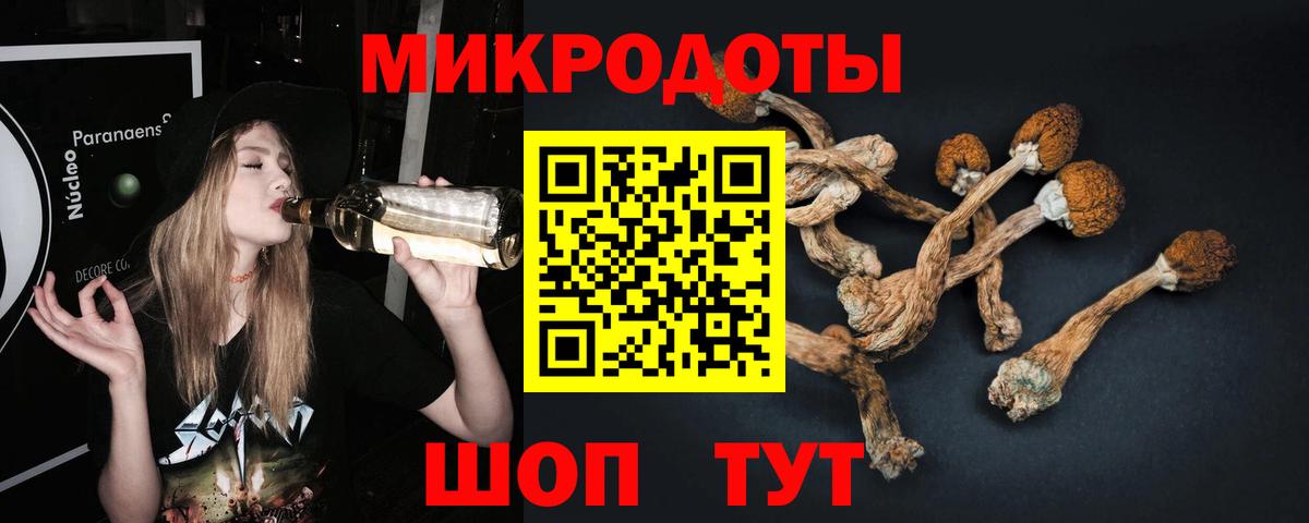 Галлюциногенные грибы прущие грибы  Вход с VPN  Анжеро-Судженск  Псилоцибиновые грибы прущие грибы 